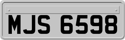 MJS6598