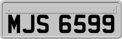 MJS6599