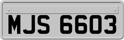 MJS6603