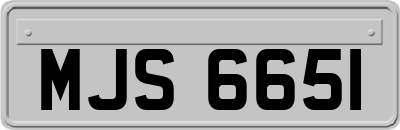 MJS6651