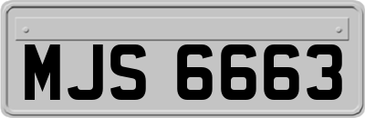 MJS6663