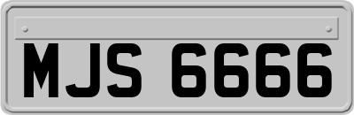 MJS6666