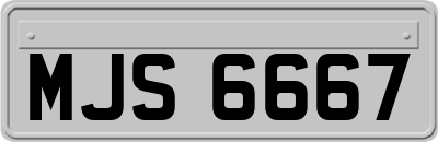 MJS6667