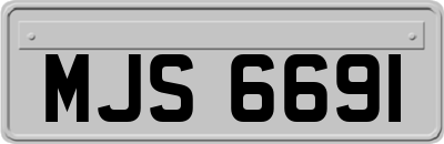 MJS6691