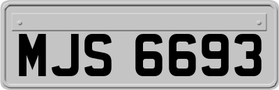 MJS6693