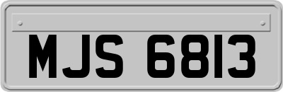 MJS6813