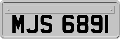 MJS6891