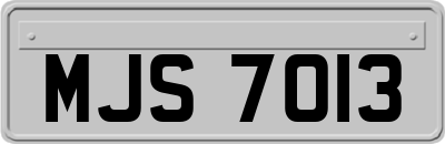 MJS7013