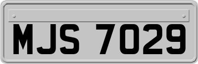MJS7029