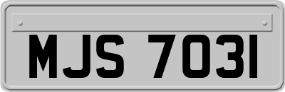 MJS7031