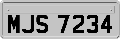 MJS7234