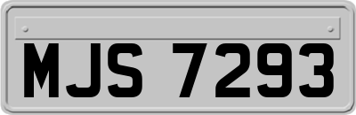 MJS7293