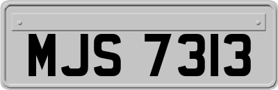 MJS7313