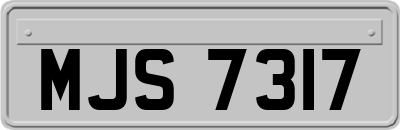 MJS7317