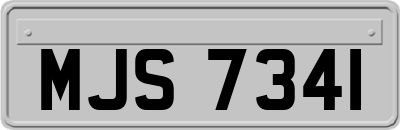 MJS7341