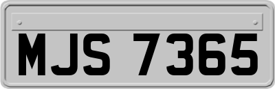 MJS7365