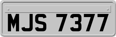 MJS7377