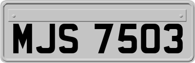 MJS7503