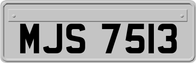 MJS7513