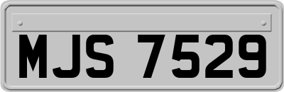 MJS7529