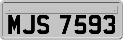 MJS7593