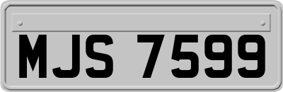 MJS7599