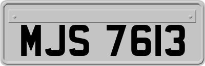 MJS7613