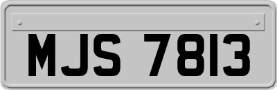 MJS7813