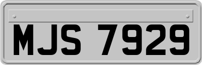 MJS7929