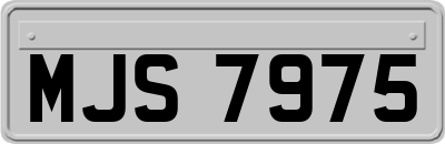 MJS7975