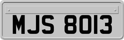 MJS8013