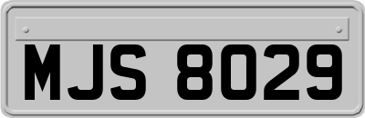 MJS8029