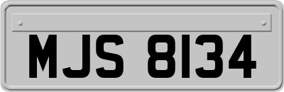 MJS8134