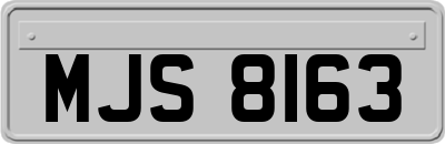 MJS8163