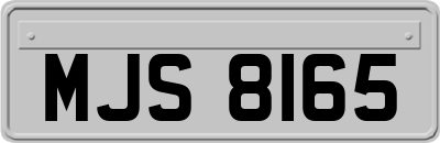 MJS8165