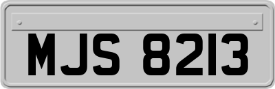 MJS8213
