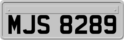 MJS8289