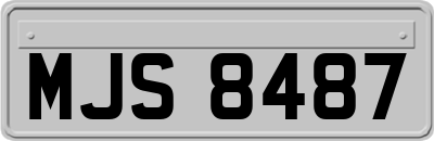 MJS8487