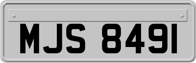 MJS8491