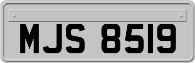 MJS8519