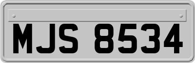 MJS8534