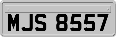 MJS8557