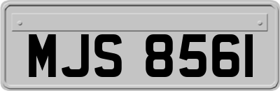 MJS8561