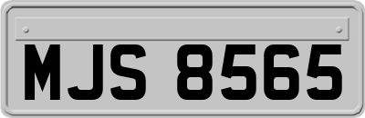 MJS8565