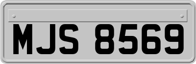 MJS8569