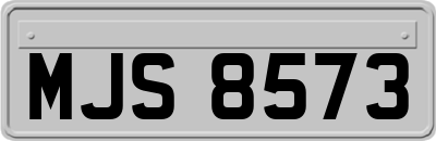 MJS8573