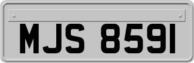 MJS8591