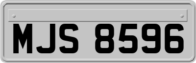 MJS8596