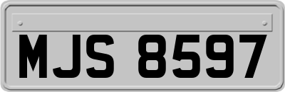 MJS8597