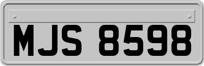 MJS8598